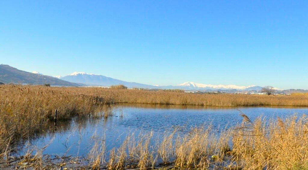 La Riserva Sentina si estende al mare