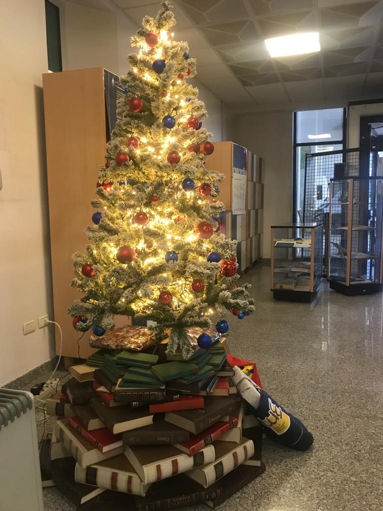 1274530_libro_sotto_l_albero