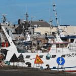 Porto, nuovi lavori di riqualificazione sulla banchina Malfizia