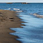 Tutela della costa, 50 mila euro per contrastare l&#8217;erosione della spiaggia