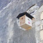 &#8220;Ogni ape conta&#8221;, Coop Alleanza 3.0 porta cinque casette per api a San Benedetto