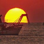 Caro energia, dalla Regione Marche contributi per le imprese ittiche