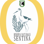 Gli uffici della Sentina trasferiti in viale De Gasperi