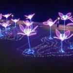 Le installazioni luminose accendono il Natale