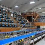 Giornate FAI, il Mercato Ittico protagonista con la sala dell’asta