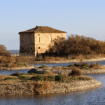 1672168_riserva-naturale-sentina-150x150